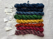 Load image into Gallery viewer, Leftover Mini Bundles - In Stock (4 Ply Sock, 10g&#39;s &amp; 20g&#39;s)
