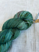Load image into Gallery viewer, Winter PanTonal: Frosty Fun - In Stock (Soft DK)
